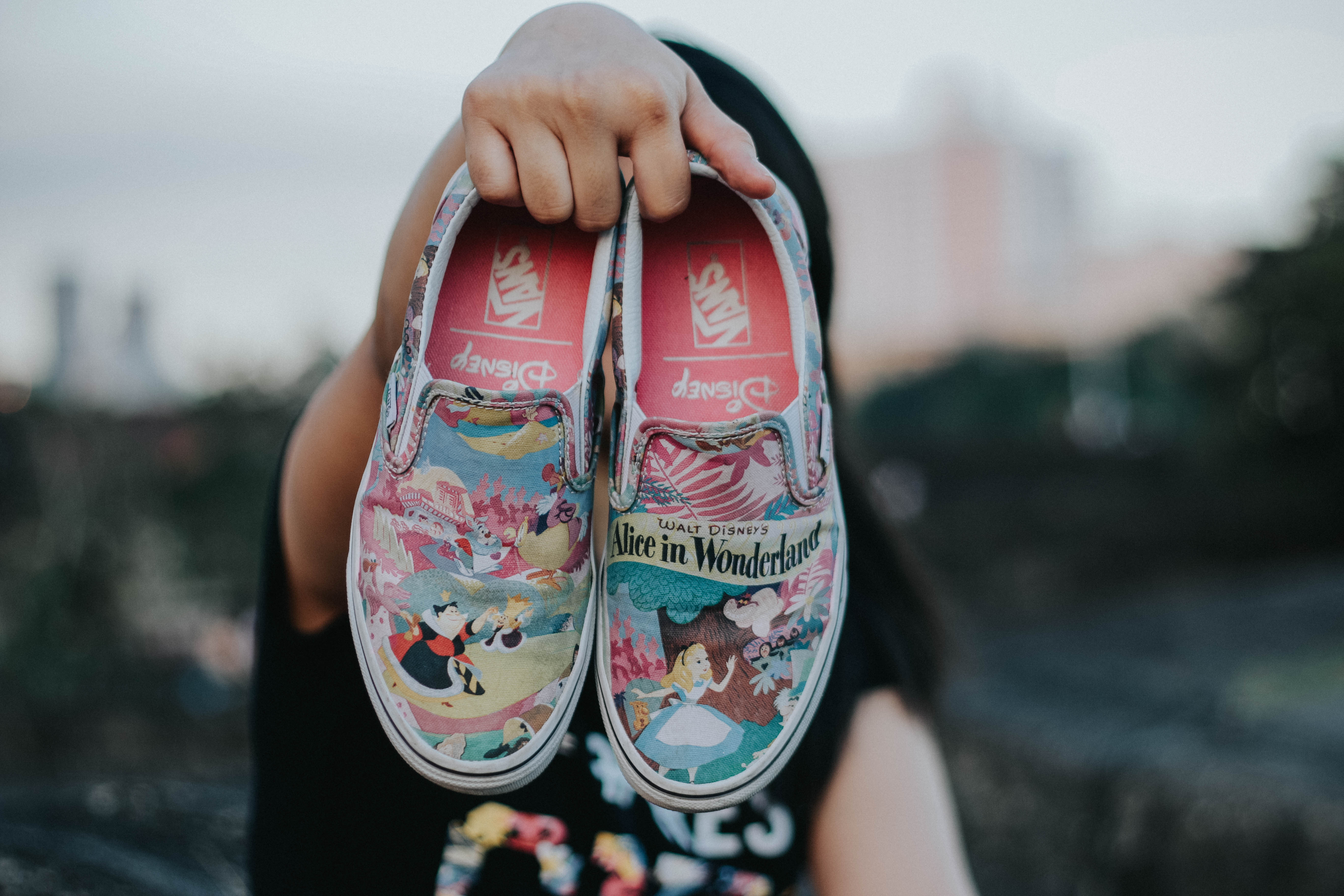 Alice in Wonderland Shoes