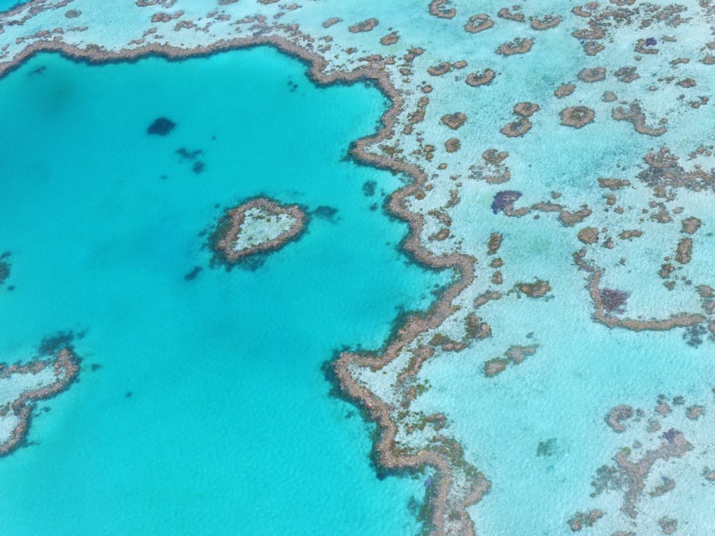 Heart Reef Great Barrier Reef